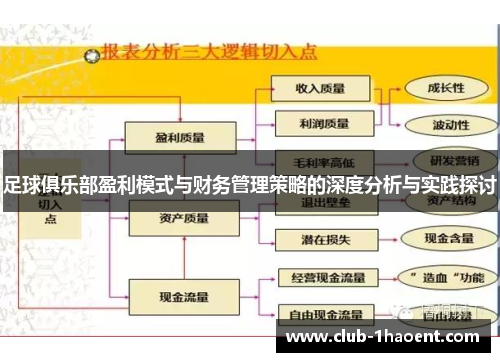 足球俱乐部盈利模式与财务管理策略的深度分析与实践探讨