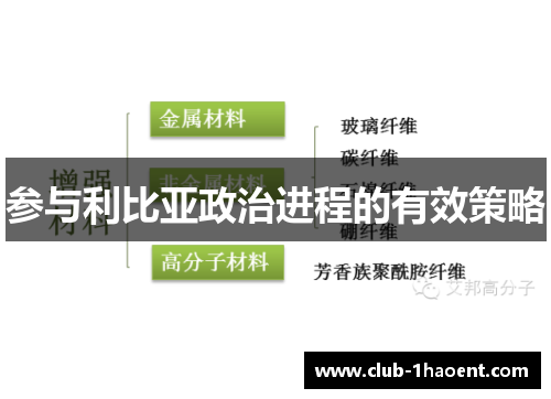 参与利比亚政治进程的有效策略