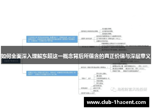 如何全面深入理解东超这一概念背后所蕴含的真正价值与深层意义