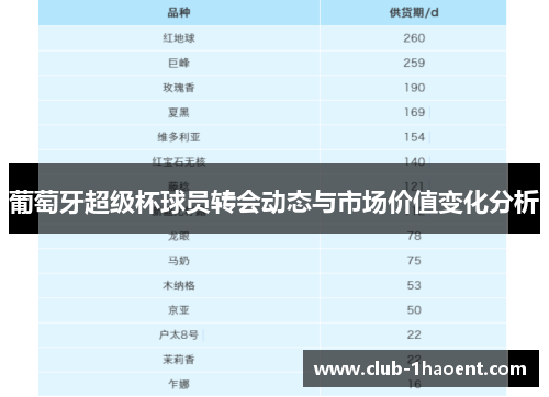 葡萄牙超级杯球员转会动态与市场价值变化分析