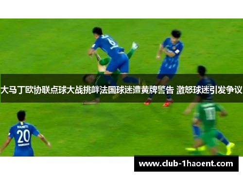 大马丁欧协联点球大战挑衅法国球迷遭黄牌警告 激怒球迷引发争议